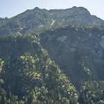 Waldgut