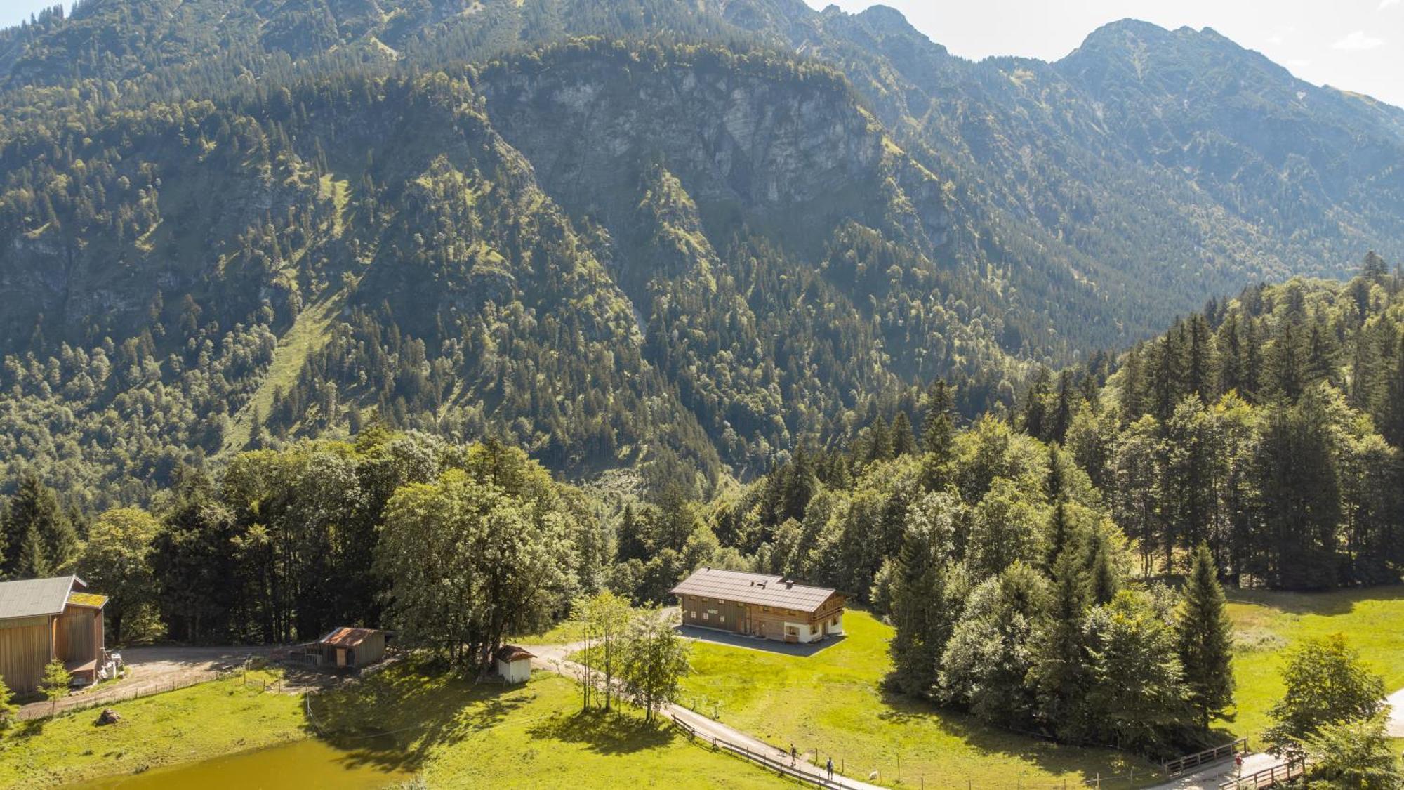 Waldgut