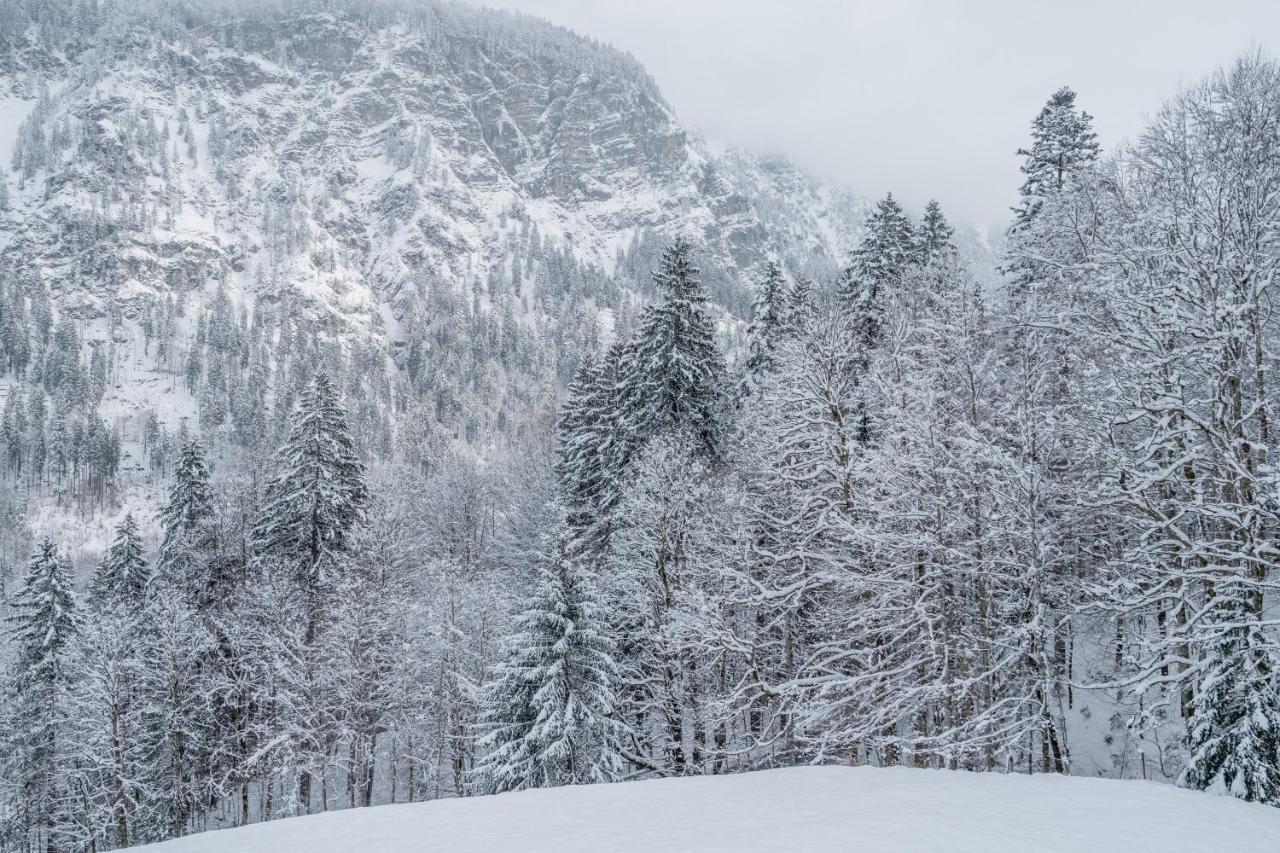 Waldgut Appartement Oberstdorf