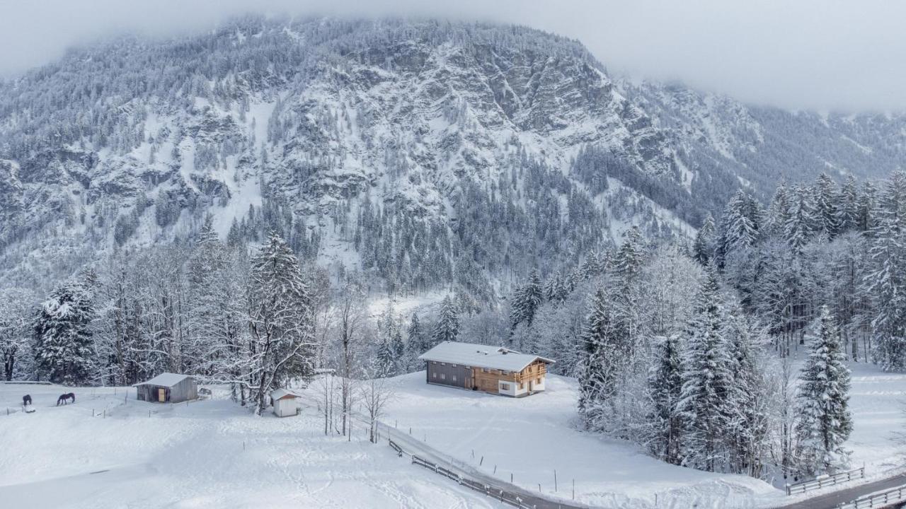 Waldgut Appartement *